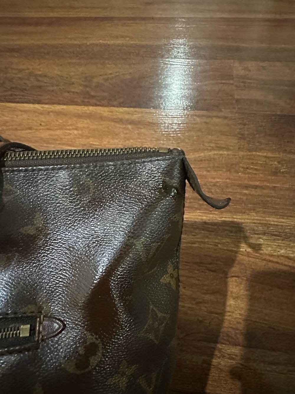 Louis Vuitton Monogram Lena Pm - Picture 8 of 16